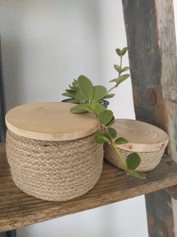 Petit Pot Naturel avec Couvercle en Bois Brut
